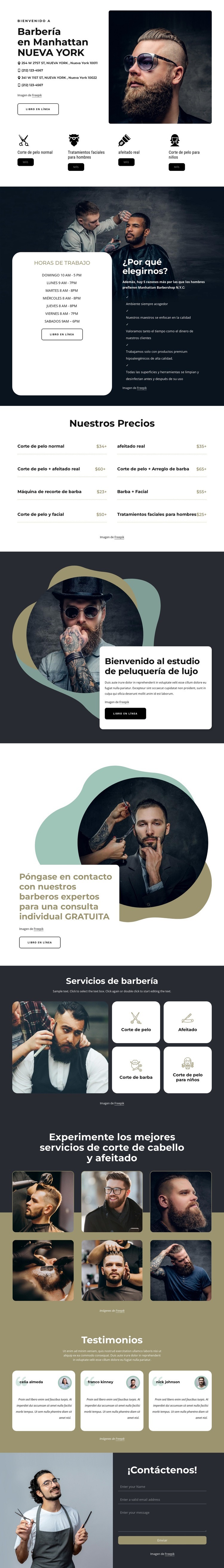 Servicios de peluquería de alta calidad Plantillas de creación de sitios web