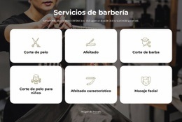 Servicios De Barbería - Plantilla De Funcionalidad De Una Página