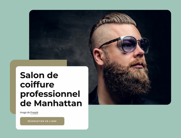 Salon de coiffure premium midtown manhattan Maquette de site Web