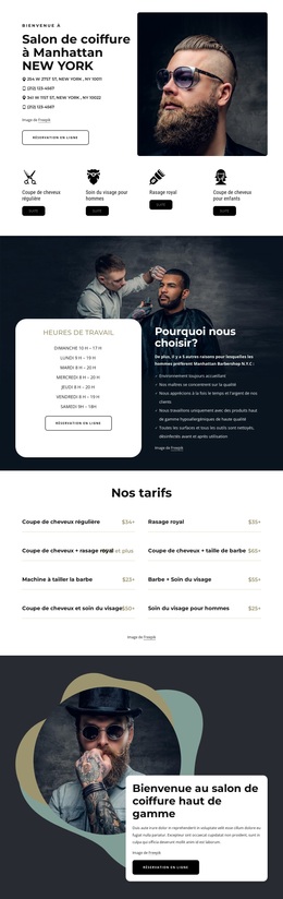 Services De Toilettage De Haute Qualité - Thème WordPress À Télécharger Gratuitement