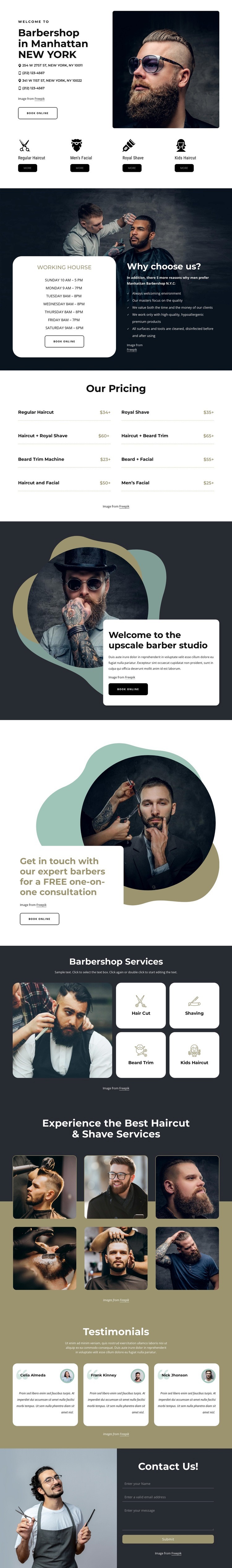 Hight quality grooming services Homepage Design