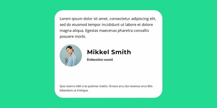 Amit a kritikus mond HTML Sablon