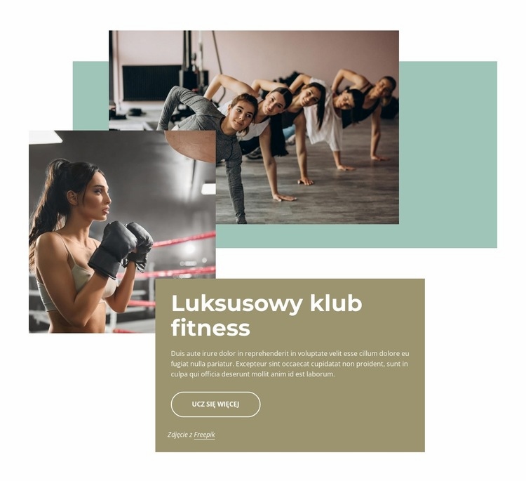 Luksusowe doświadczenie fitness Makieta strony internetowej
