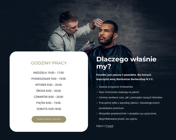 Godziny pracy Motyw WordPress