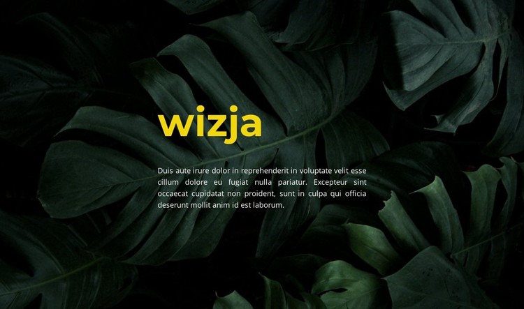 Nowy wygląd Szablon CSS