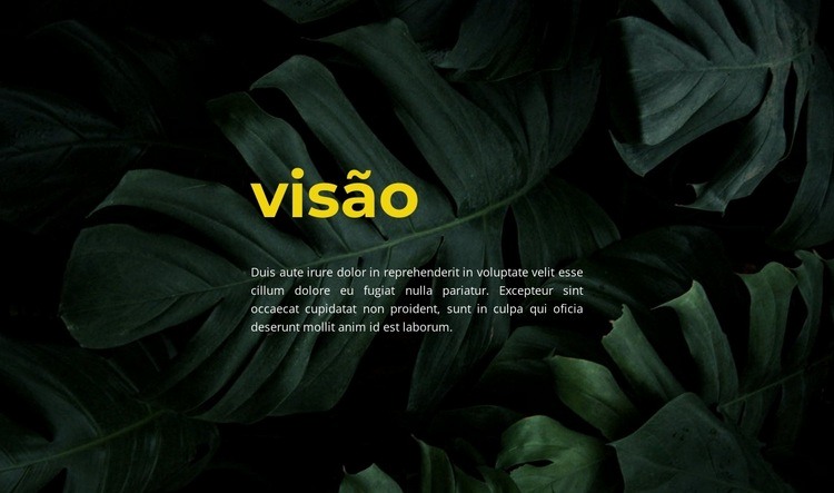 Um novo olhar Design do site