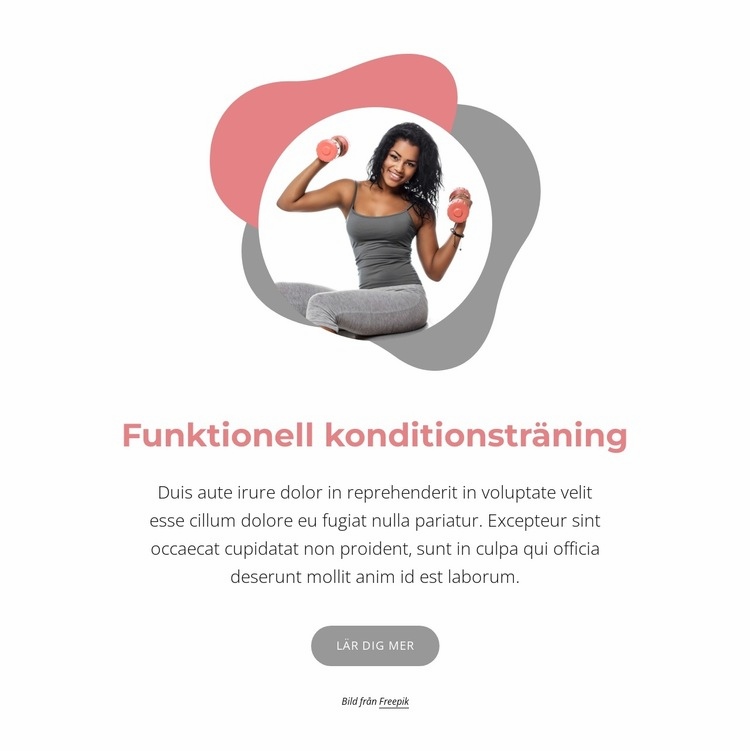 Certifierad funktionsutbildning WordPress -tema