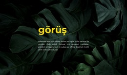 Yeni Bir Görünüş Için Sayfa Düzeni