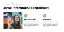 Velcí Profesionálové – Bezplatný Motiv WordPress