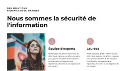 Grands Professionnels Modèle De Site Web CSS Gratuit