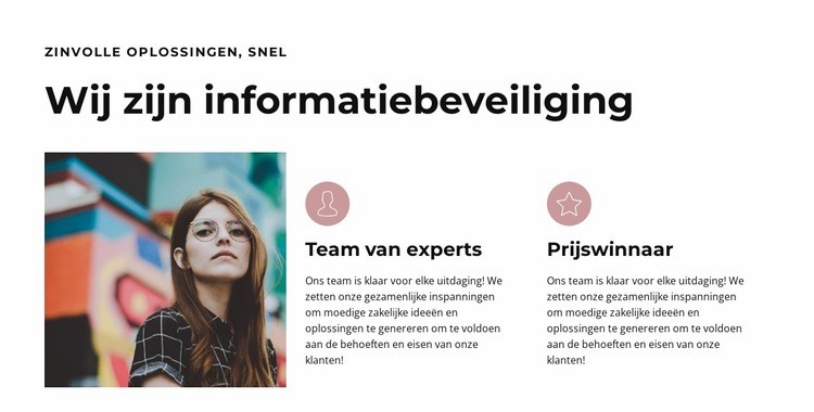 Grote professionals Website ontwerp