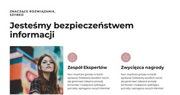 Wielcy Profesjonaliści - Darmowy Motyw WordPress