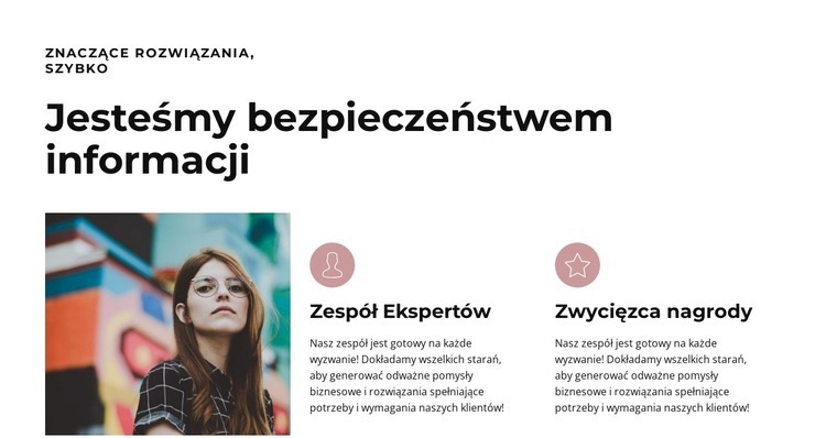 Wielcy profesjonaliści Projekt strony internetowej