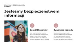 Wielcy Profesjonaliści Darmowy Szablon Strony Internetowej CSS