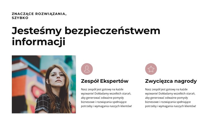 Wielcy profesjonaliści Szablon CSS