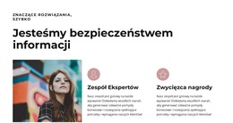 Funkcjonalność Układu Dla Wielcy Profesjonaliści