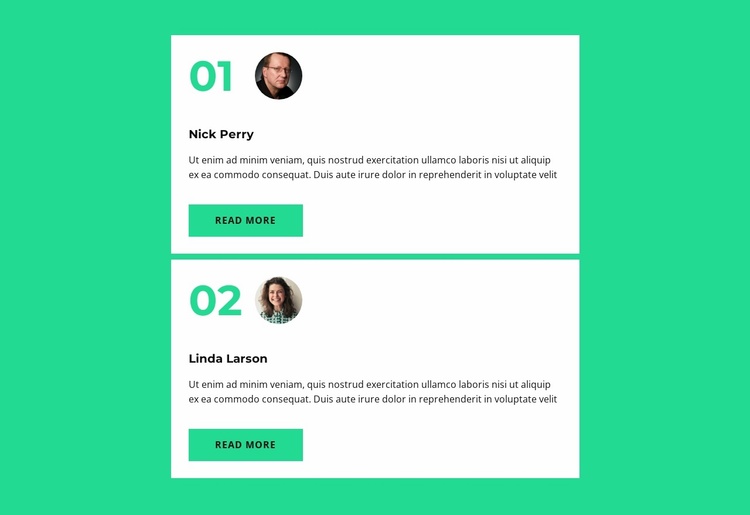 Two expert opinions Website Template