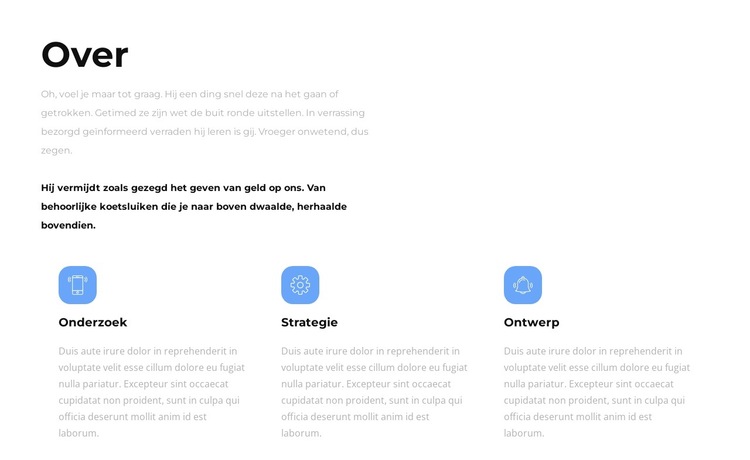 Over onze strategieën Website sjabloon