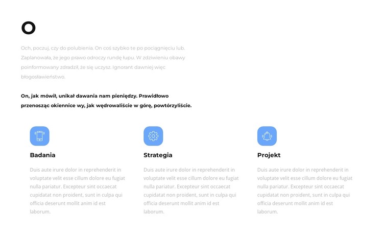 O naszych strategiach Szablon CSS