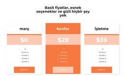 Fiyatınızı Seçin - HTML Kod Şablonu