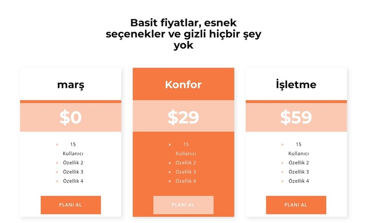 Fiyatınızı seçin HTML Şablonu