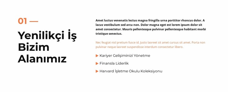 iş dergisi Joomla Şablonu