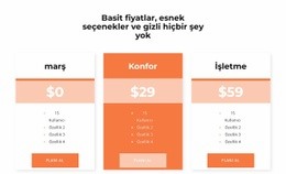 Fiyatınızı Seçin Için Kendi Web Sitenizi Oluşturun