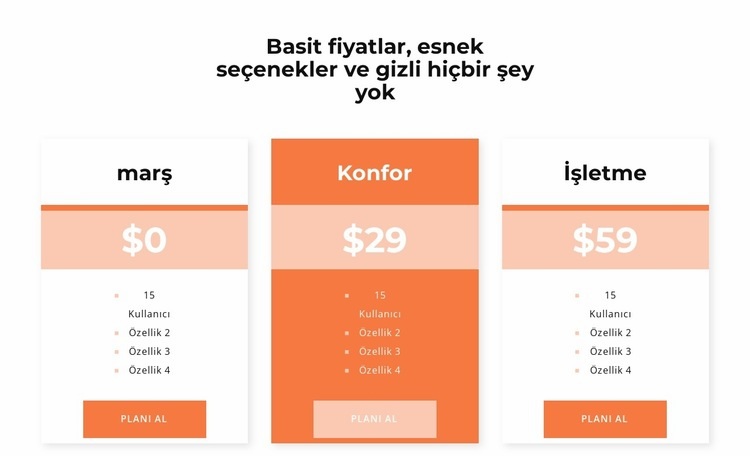 Fiyatınızı seçin Web Sitesi Oluşturucu Şablonları