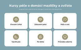 Produktový Designér Pro Kurzy Péče O Domácí Mazlíčky