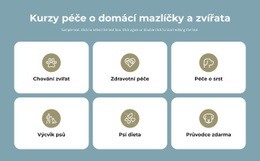 Kurzy Péče O Domácí Mazlíčky - Krásný Design Webových Stránek