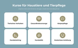 Kurse Für Tierpflege Kostenlose Vorlage