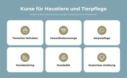 Kurse Für Tierpflege - Schönes Website-Design