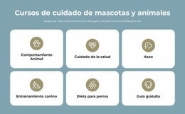 Cursos De Cuidado De Mascotas - HTML Website Builder