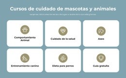 Cursos De Cuidado De Mascotas - Plantillas De Diseño De Sitios Web