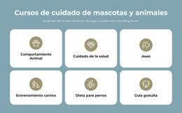 Cursos De Cuidado De Mascotas Plantilla Gratuita