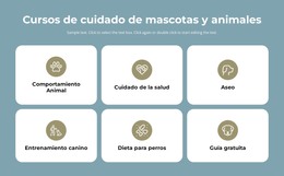 Diseño HTML Para Cursos De Cuidado De Mascotas