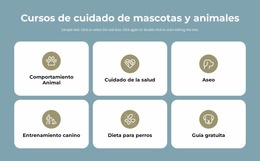 Cursos De Cuidado De Mascotas - Plantilla Joomla Multipropósito