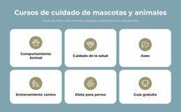 Cursos De Cuidado De Mascotas: Plantilla De Una Página Para Cualquier Dispositivo