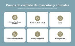 Diseñador De Producto Para Cursos De Cuidado De Mascotas