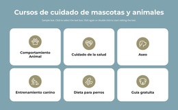 Cursos De Cuidado De Mascotas - Tema De WordPress