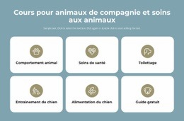 Cours De Garde D'Animaux - Belle Conception De Site Web