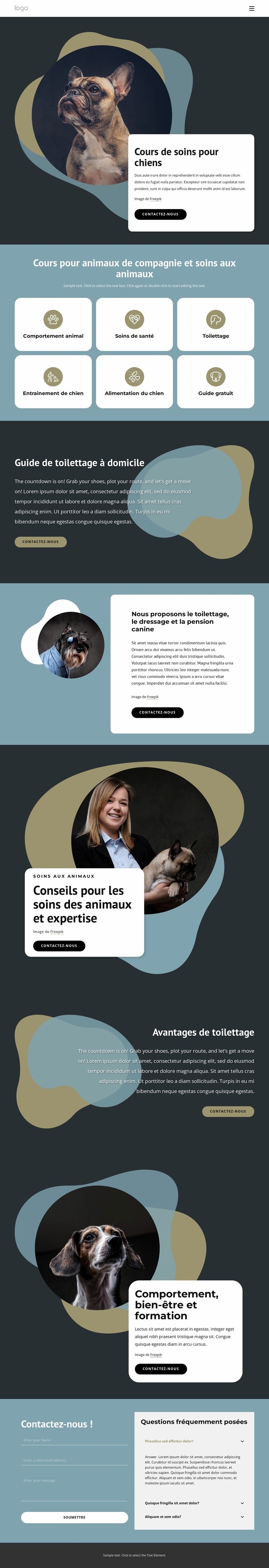 Cours de garde de chiens Conception de site Web