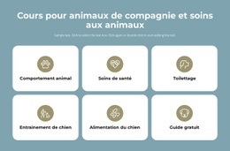 Cours De Garde D'Animaux