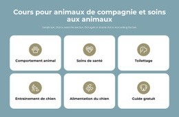 Cours De Garde D'Animaux – Modèles De Conception De Sites Web