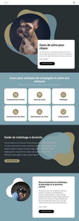 Meilleur Site Web Pour Cours De Garde De Chiens