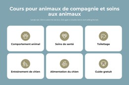 Cours De Garde D'Animaux Modèle Gratuit