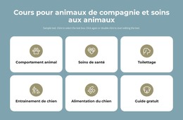 Conception HTML Pour Cours De Garde D'Animaux