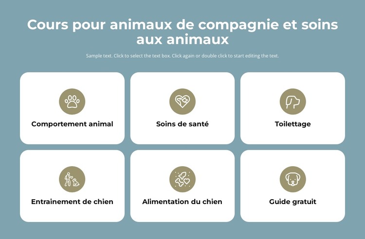 Cours de garde d'animaux Modèle HTML