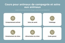 Cours De Garde D'Animaux : Modèle D'Une Page Pour N'Importe Quel Appareil