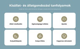 Kisállat Gondozási Tanfolyamok #Html-Templates-Hu-Seo-One-Item-Suffix